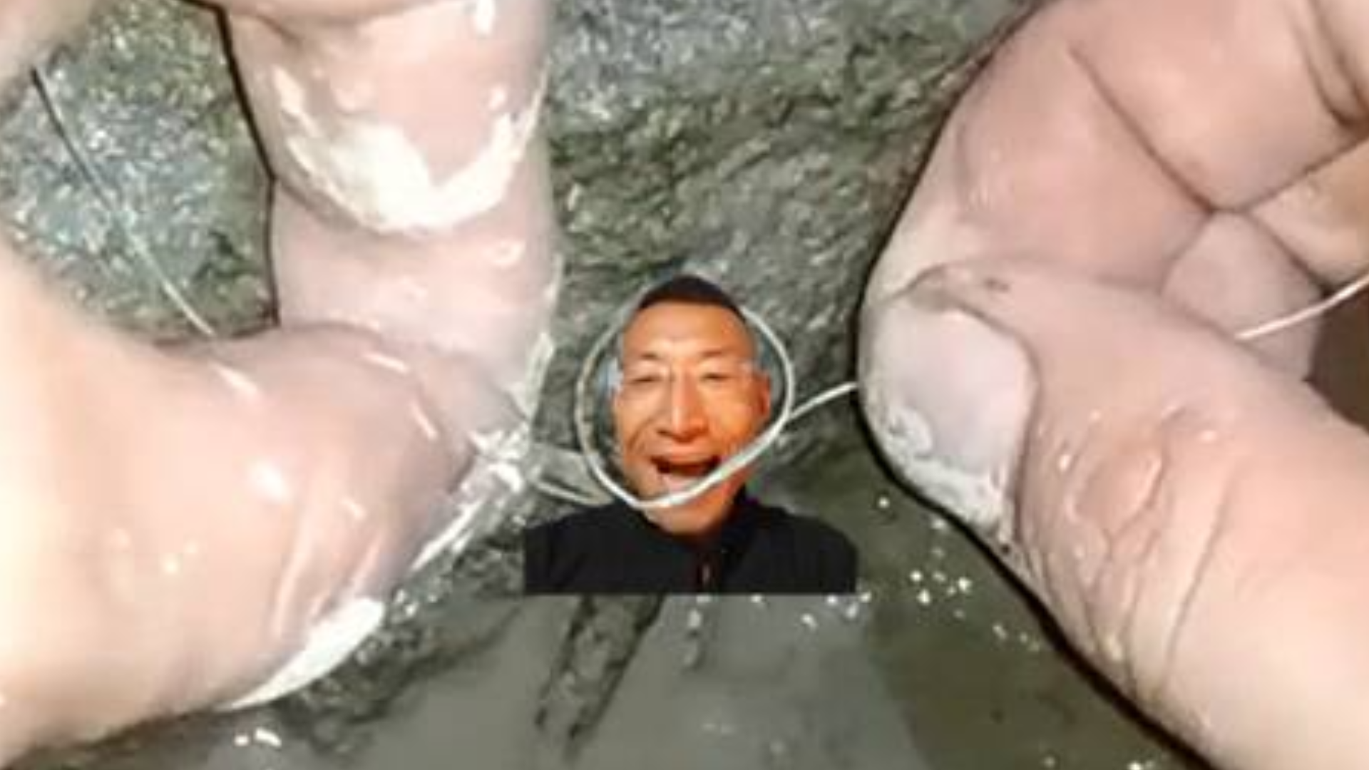 居然有人对冬泳怪鸽巨魔奥利给 做出这样的事